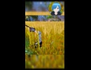 【#フォートナイト】この草狩ること出来ないの？！【#しゅたぽ日記】