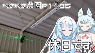 2024年11月20日　農作業日誌P1185　雨が降ってしまったので朝からスターシップをのんびり見てました