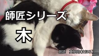 【朗読】師匠シリーズ「木」