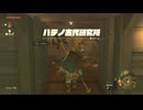 【ゼル伝TotK】おててと旅するリンクさん　パート３９【もちまる】