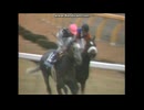 1991 ジャパンカップ (GⅠ)　ゴールデンフェザント Golden Pheasant (USA)　メジロマックイーンは4着