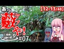 三県境制覇の旅 #07 「登らないという選択肢はないんですか？」 -岡山県北部 二つの三県境-
