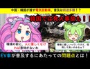【ずんだもん解説】EV車が普及しない理由【海外ニュース】