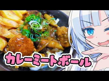 【カレーミートボールうどん】☆雪ちゃんは至って満たしたい！！