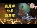【KH３】【レベル1クリティカル】光と闇の答えを【パチクル】#17