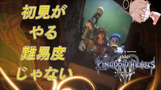 【KH３】【レベル1クリティカル】光と闇の答えを【パチクル】#17