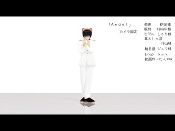 固定用