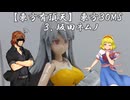 【東方有頂天】　東方３０MS　３．坂田ネムノ