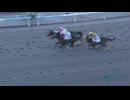 【村上忍騎手、岩手競馬史上最多勝利記録更新！】2024年11月19日水沢競馬4R 2歳C1-二組 トランスミッション