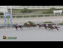 第26回兵庫ジュニアグランプリ ハッピーマン
