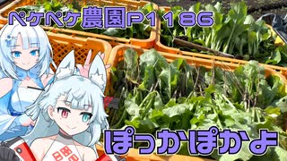 2024年11月21日　農作業日誌P1186　木曜日だけど出荷日だったよ・・・ホタテ買ってきました