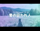 愛の囚われ人 MusicVideo