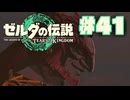 【ぽつぽつ実況 #41】力【ティアーズオブザキングダム】
