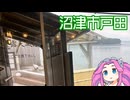 【Meets SHIZUOKA】沼津市戸田の道の駅となんかテンション上がる温泉【めたんの隠し湯】