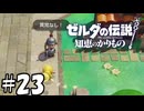 ニセ兵士とゾル好き少年【ゼルダの伝説 知恵のかりもの】23
