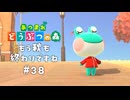 レイニー可愛すぎ事件【あつまれ どうぶつの森】#38