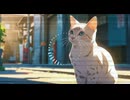 Lo-Fi BGM｜Coffee Time｜コーヒーの時間