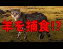 コルシカ島に導入されたネコが進化し衝撃の変化が！！【解説動画】