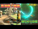 監視砦レアイベント･裸を染色･ゼルダを祠内に召喚？など小ネタ集(ver1.0.0)【ティアキン TotK】裏技 バグ 検証 ゆっくり実況 glitch