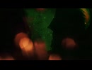 【オリジナルMV】少年少女カメレオンシンプトム/Neru(covered by:KAKA)