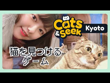 【Cats and Seek: Kyoto】京都でようけネコチャン探しますえ