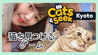 【Cats and Seek: Kyoto】京都でようけネコチャン探しますえ