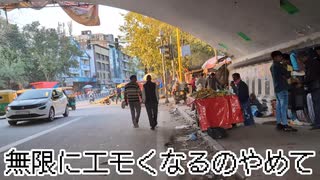 【悪路】世界で最も徒歩に適さないツッコミ待ちの都市、デリー&タージマハル見に行ったアグラ【インド旅】