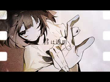 【歌ってみた】君は透明/maigo【日彩】