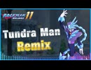 【アレンジ】ツンドラマンステージBGM【ロックマン11】