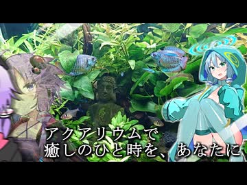 【アクアリウム】ゆかりうむ。