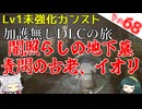 【ELDEN RING】巫女無しイタコの限界旅 Part68 闇照らしの地下墓 責問の古老、イオリ！【Lv1強化0加護0カンスト】