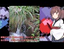【東北きりたん】薬師池公園とやらをぼーっと歩く