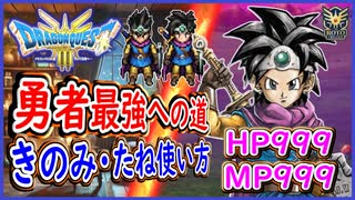 DQ3 HD-2D版 勇者最強への道！失敗しない為のタネ・きのみの使い方！HP999・MP999にする為には！？ドラクエ3リメイク 攻略【ネタバレあり】【メイルス】