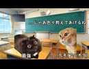 【猫ミーム】もしもオタクが領域展開持ってたら【呪術廻戦】