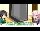 CeVi&Synthe_song