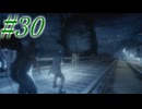 【FF15】初めてのFF15！どんなお話か楽しみ！！#30【初見実況】