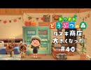 まめきち＆つぶきち おめでとう！【あつまれ どうぶつの森】#40