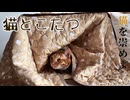 猫とこたつ