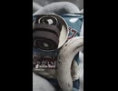 Sock Puppet［自作自演］