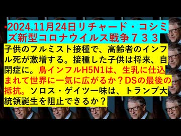 2024.11月24日リチャード・コシミズ新型コロナウイルス戦争７３３