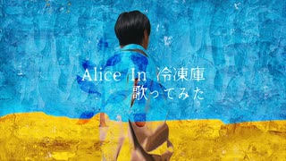 Alice in 冷凍庫 歌ってみた【素朴】