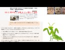 DSに組み従う企業は潰れて当然　食用コオロギ生産・加工のグリラス(徳島市)が自己破産へ　SNS炎上の影響大、消費者の抵抗感根強く