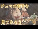 ジェマの背中を見てみると