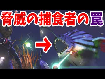 まんまと光に釣られて近づいてしまった結果…【No Man's Sky】#21