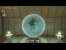 ゼルダの伝説　ティアーズ オブ ザ キングダム　実況プレイPart201