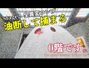 【ホラゲ実況】ビビりが行く8番ライクホラーゲーム【0階です。】＃２