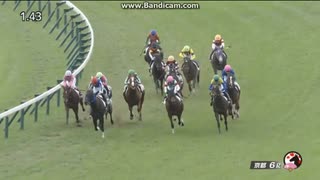 ネブラディスク　2歳新馬　岩田 望来ＪＲＡ500勝
