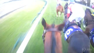 【ジョッキーカメラ】ゴリアット騎乗のC.スミヨン騎手ジョッキーカメラ映像｜2024年ジャパンカップ