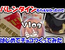 【Vlog】バレンタインに何ももらえなかったVtuber、腹いせにはじめてのチョコを作ってみる【いもだいずのやかましクッキング】