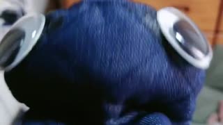裏切り